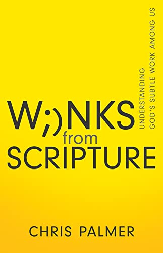 Winks from Scripture book cover